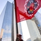 IMG_5238[1]_1.jpg